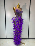 Sparkly Rhinestones Feather Sexy Bodycon Long Dress Women Luxury Birthday Evening Party Fashion Show Nightclub Stage Costume
