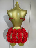 Women Sexy Red 3D Flowers Top Mini Dress Two Piece Set Eveing Party Girls Birthday Nightclub Stage Dress Holiday Photo Shoot Set