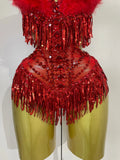 2026 New Sexy Nightclub Bar DJ Performance Dancer Stage Costume Sparkly Rhinestones Feathers Tassels Mesh See Through Bodysuits