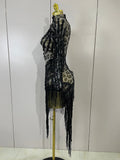 Women One Shoulder Latin Dance Outfits Sexy Leopard Print Sparkly Diamond Tassel See-Through Dress Nightclub Party Stage Costume