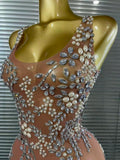 Sparkly Crystal Mesh See Through Women Sleeveless Sexy Bodycon Long Gowns Dress Evening Party Celebrate Birthday Outfit