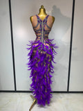 Sparkly Rhinestones Feather Sexy Bodycon Long Dress Women Luxury Birthday Evening Party Fashion Show Nightclub Stage Costume
