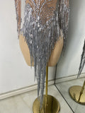 Women Sparkly Crystal Pearl Tassels Sexy Sheer See Through Bodycon Mini Silver Outfit Birthday Dress Dancer Performance Costume