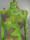 Women Eveing Party Nightclub Bar Stage Phootshoot Outfits Sexy Sparkly Diamonds Sequin Long Sleeves Mesh Transparent Mini Dress