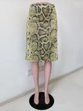 Fashion Snake Pattern Straight Skirt For Women High Waist Slim Long Skirt Ins Hot Streetwear Female Skirt Summer New 2026