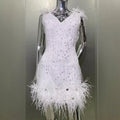 2026 Women's Luxury Rhinestone Feather Sequin Embroidered White Mesh Dress Glam Fashion Celebrity Party Evening Performance Gown