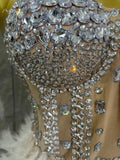 Sparkle Rhinestone Feather Sexy Mesh Long Dress Evening Party Birthday Performance Photoshoot Red Carpet Costume