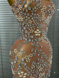 Sparkly Crystal Mesh See Through Women Sleeveless Sexy Bodycon Long Gowns Dress Evening Party Celebrate Birthday Outfit