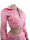 Casual Simple Women 2 Piece Set Pocket Hooded Zip Crop Jacket+Pants Sporty Matching Streetwear Skinny Basic Outfits