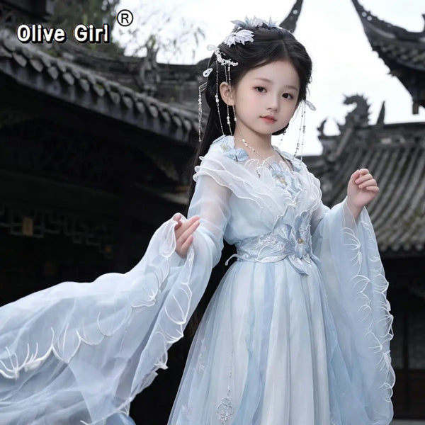 Olive Girl Red Embroidered Hanfu Dress for Ren Faire 2026 Garden Wedding Fairycore Photoshoot Everyday Wear S-XL XS-3XL Plus Size Chinese Heritage Fashion Women