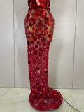 Women Sparkly Sequins Sexy Mesh Maxi Dress Luxury Birthday Party Evening Celebrate Performance Singer Nightclub Stage Costume