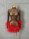 Red Pink Slim-fit Feather-Trimmed Sheer Dress Sexy Performance Costume Dance Party Singer Stage Nightclub Luxury Outfit