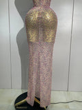 Women Sexy Mesh See Through Long Dress Elegant Sparkly Pink Diamond Eveing Party Nightclub DJ Stage Costume Photo Shoot Outfits