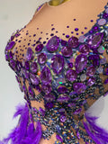 Sparkly Rhinestones Feather Sexy Bodycon Long Dress Women Luxury Birthday Evening Party Fashion Show Nightclub Stage Costume