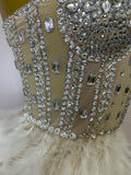 Women Sexy Elegant Evening Party Luxury Birthday Photo Shoot Performance Costume Sparkly Rhinestone Feather Mesh Long Dress