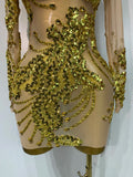 Women Sexy Long Sleeve Gold Rhinestone Dress Luxury Birthday Party Costume Bar Nightclub Celebrity Stage Performance Outfit