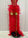Sparkly Rhinestones Feathers Long Tail Bodysuits Sexy Mesh Transparent Stage Dress Evening Party Celebrate Luxury Birthday Dress