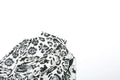 Fitness Jumpsuit Women Sexy Zip Leopard Print Full Sleeve Streetwear Activity Workout Casual Tight Stretch Overalls