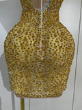 Sexy Sparkly Rhinestone Sleeveless Mesh See Through Mini Dress Luxury Birthday Dress Celebrate Party Club PhotoShoot Stage Wear