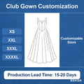 Party Outfit Elegant Long and Plus Size Party Dresses Stunning Club Dresses Sexy Women Clothing Birthday Dress for Ladies