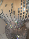 Luxury Silver Allover Rhinestone Mesh Dress Statement Choker Vertical Crystal Design Formal Events Photoshoots and Red Carpet