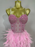 Women Sexy Elegant Evening Party Luxury Birthday Photo Shoot Performance Costume Sparkly Rhinestone Feather Mesh Long Dress
