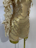 Sexy Embroidery Sequins Sparkly Diamonds Long Sleeves Mesh Mini Dress Birthday Evening Party PhotoShoot Nightclub Stage Costume