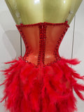 Sparkly Rhinestones Feathers Long Tail Bodysuits Sexy Mesh Transparent Stage Dress Evening Party Celebrate Luxury Birthday Dress