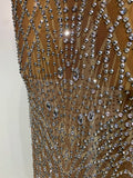 Luxury Sparkly Rhinestones Tassel Transparent Mesh Stretch Long Dress Women Evening Celebrate Birthday Dress Sexy Stage Costumes