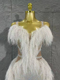 Sexy Transparent Netting Sequined Feather Dress, V-neck Formal Evening Cocktail Party Gown