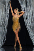 Women's Super Shiny Gold Sequin Fringed Glam Tube Top Jumpsuit Socialite Fashion Banquet Party Performance Outfit Party Dresses