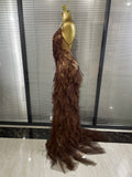 Sparkly Rhinestones Tassel Sheer Dress for Women Sexy V Neck Birthday Celebrate Event Outfit Singer Show Wear Photo Shoot Dress