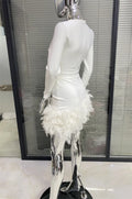 Women's 2-Color Glam V-Neck Gorgeous Feather Skirt Bandage Mini Dress Fashion Party Evening Performance Dress Women Glam Dresses