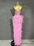 Sparkle Rhinestone Feather Sexy Mesh Long Dress Evening Party Birthday Performance Photoshoot Red Carpet Costume