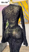 Women Long Sleeve Stacked Mesh See Though with Lining Bodycon Long Dress 2025 Autumn Evening Birthday Sexy Party Dresses